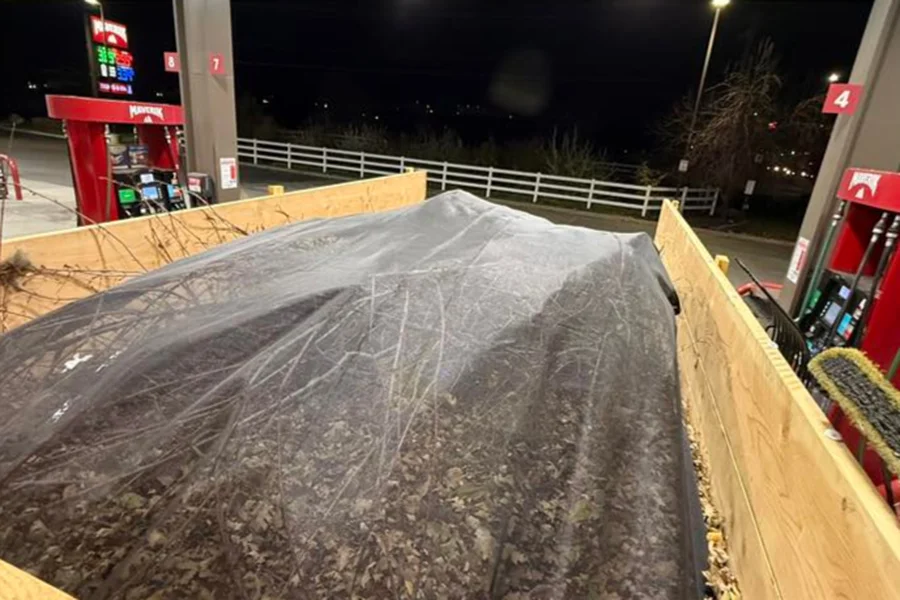 JG Trash & Dash LLC's other services